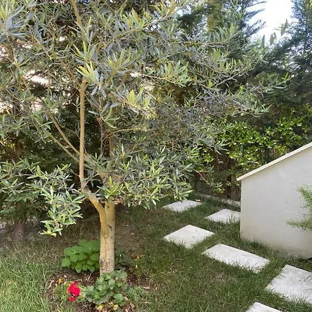 Apartman Durres, At Vala Mar Rezidence, Hamallaj *